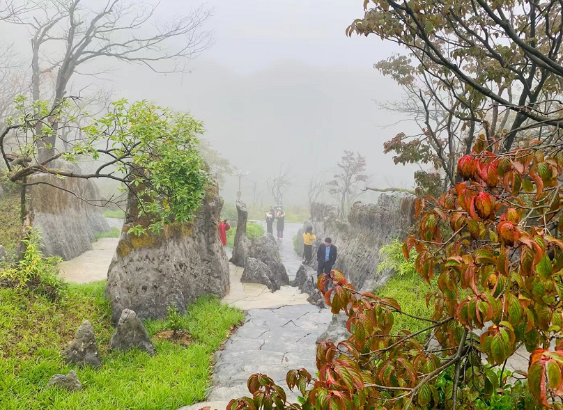 仙境南天湖 度假新天地 重慶知名作家豐都南天湖採風宣傳活動舉行 信息峰