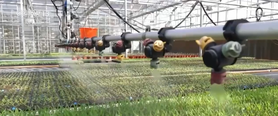 深度解析2026中央一号文件：四大关键词引领乡村振兴新方向