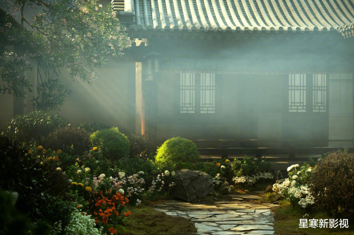 40����ī���Ƽ䡷�����Ѷ�, ���龫��, ȫԱ����ֵ, ���кþ�׷��