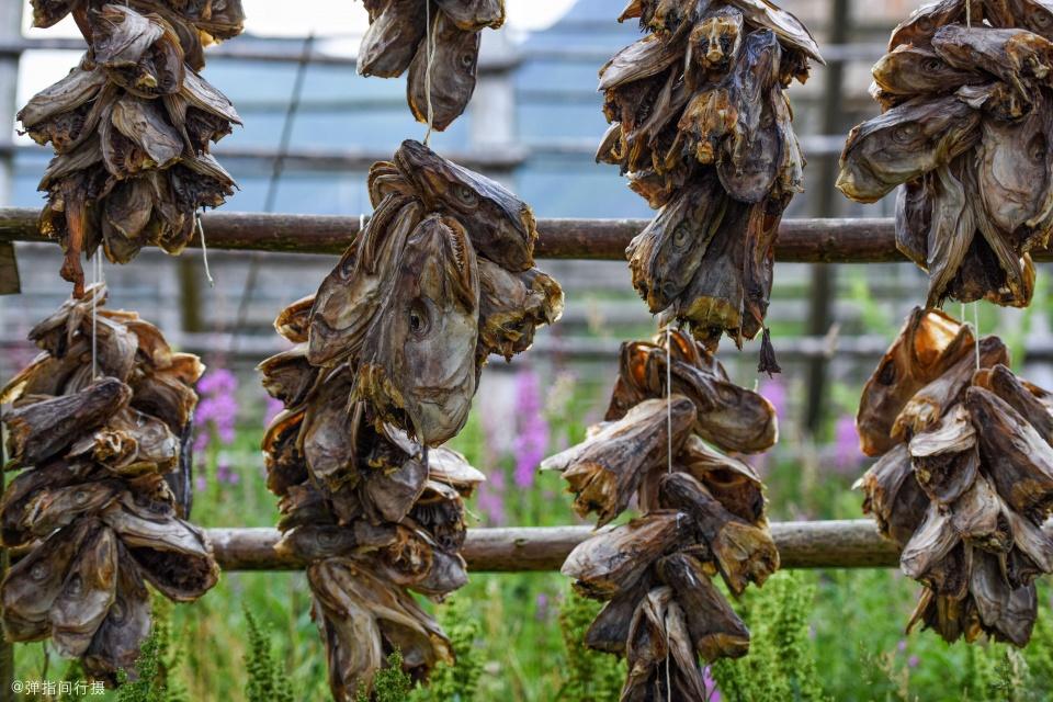 中国挪威关系恶化,挪威与中国的关系_鱼头在