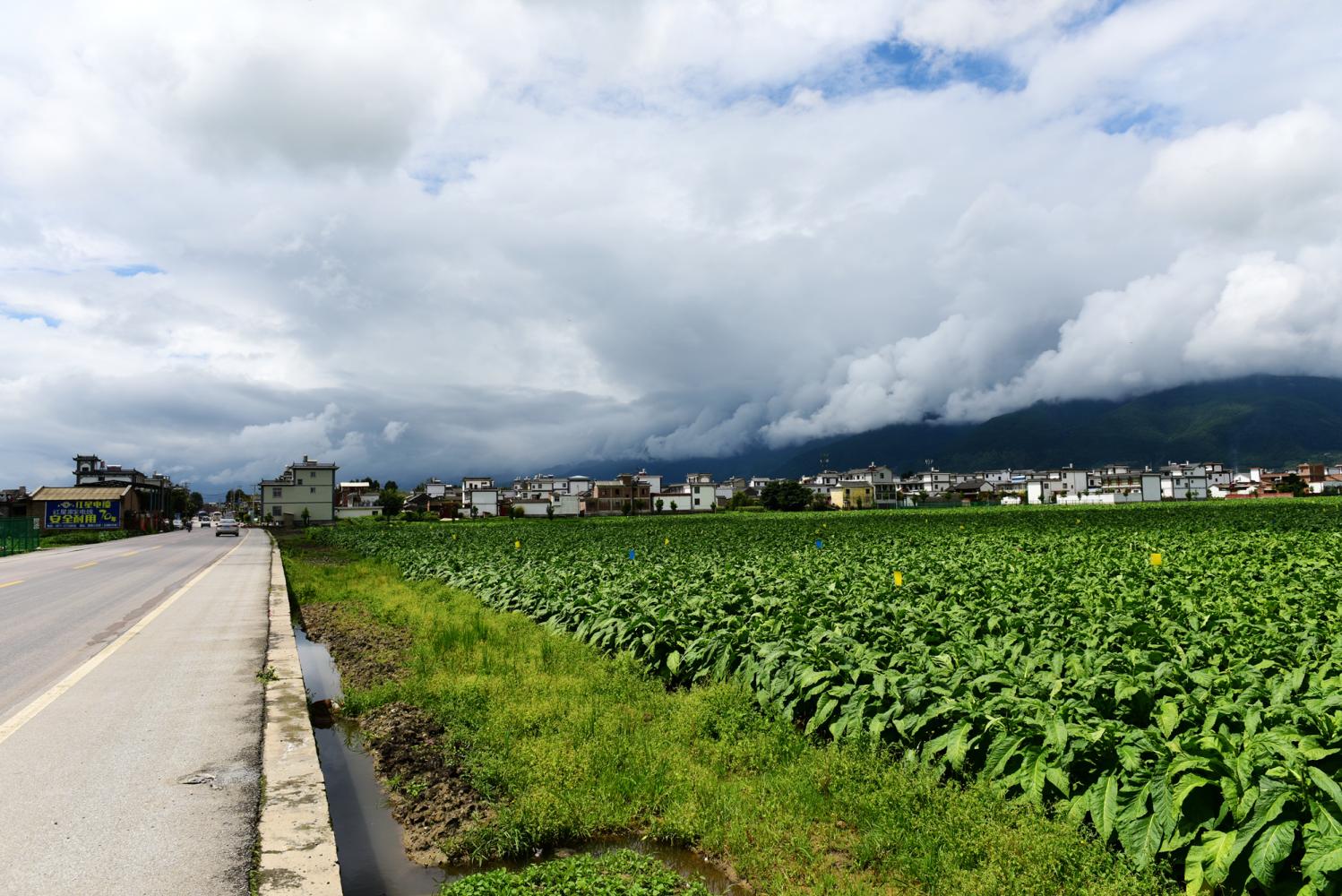 从大理古城到喜洲古镇, 一路风景