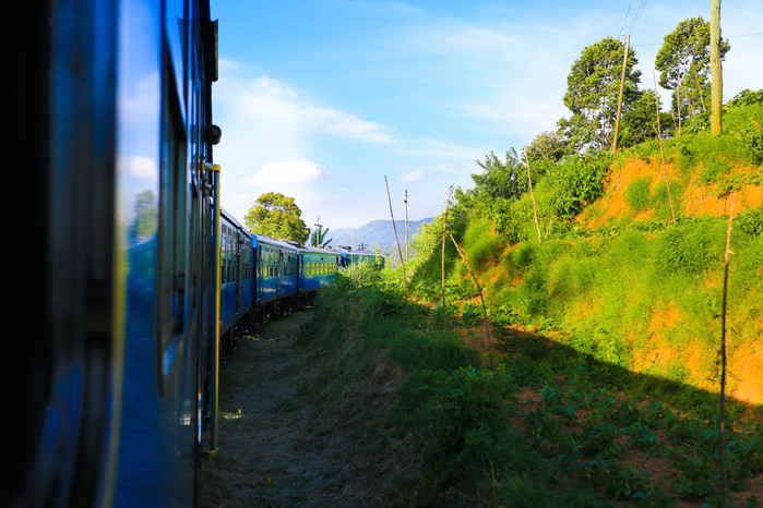 掛火車飛馳在高山茶園