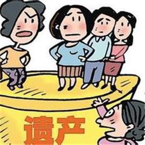 继母与五子女继承起纠纷 南阳新野法院强制执行