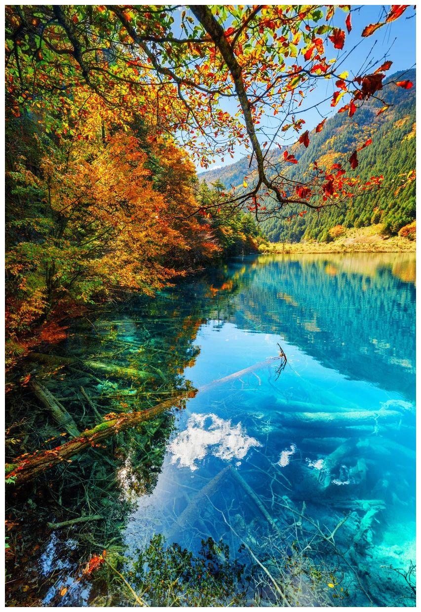 最美的风景图片竖屏,最美的风景图片鲜花_大山谷图库