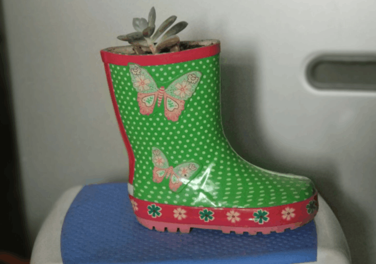 孩子王——我的雨鞋有朵花