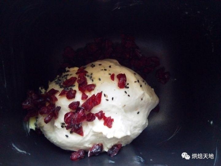 蔓越莓黑芝麻酸奶软欧 | 有颜值的实力派