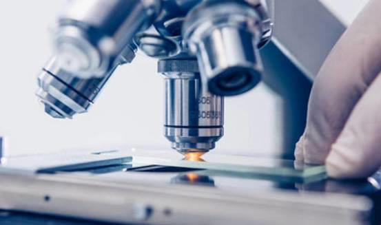 世界上第一个 伪永生 的人 科学家从她身上提取不死细胞 全网搜