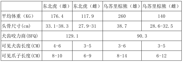 辟谣 东北虎能捕食公棕熊 现实中被虎捕食的多为母熊及幼熊 全网搜