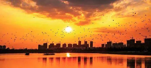 2017安徽16市成绩单新鲜出炉! 大六安GDP是