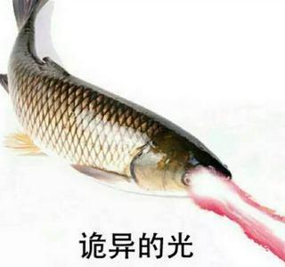 渔民捕到230斤大青鱼, 鱼鳞和人手掌一般大