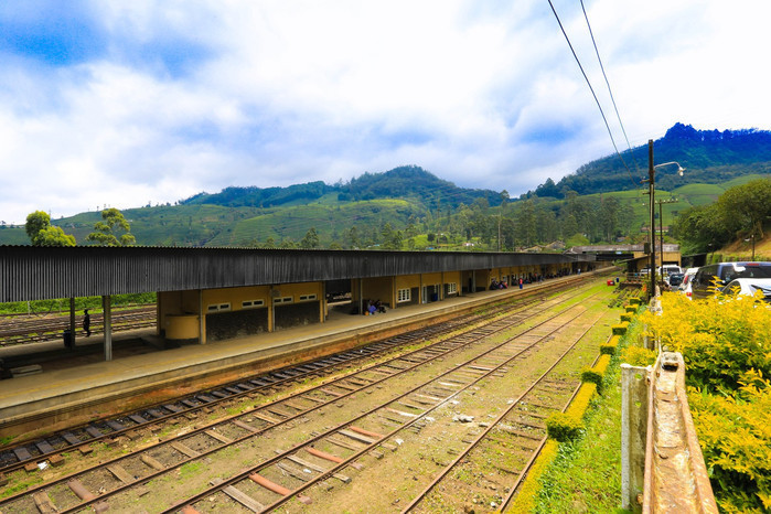 掛火車飛馳在高山茶園