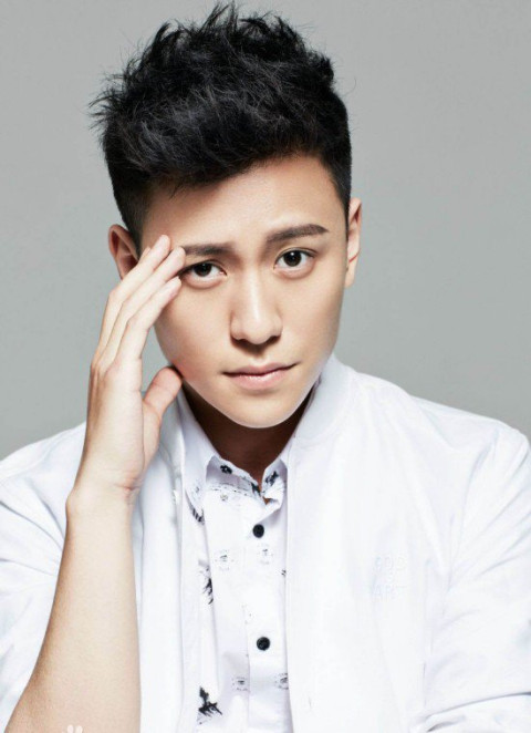 2011年因在《回家的诱惑》中饰演尚恩一角,被观众熟悉.