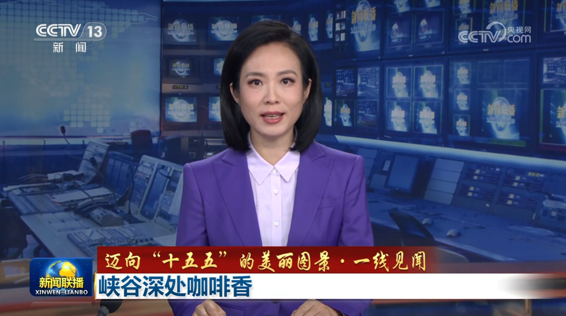 怒江峡谷咖啡产业崛起：从深度贫困到致富新路