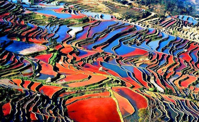 文章配图