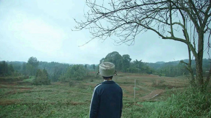 �̵�2023������ߵ�10�������Ӱ, ������������Ĳ�(�ƻ�Ƭ ����)