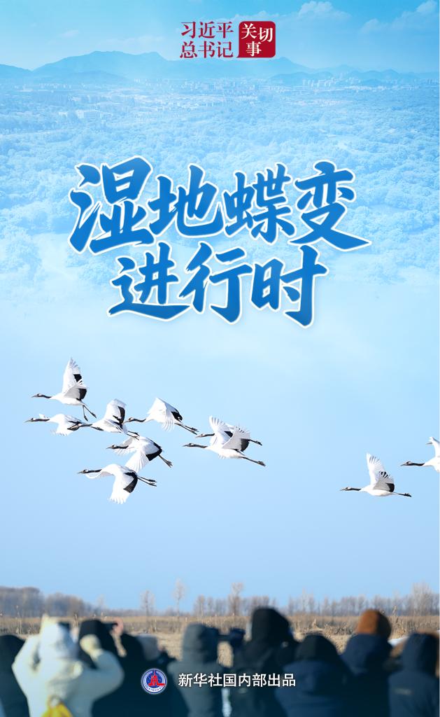 习近平总书记关切事丨湿地蝶变进行时