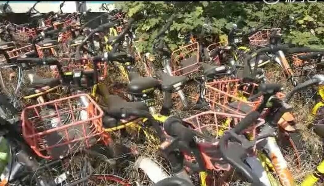 合肥這個學校的廢棄操場每天都能聽見悲鳴, 原來它在作祟