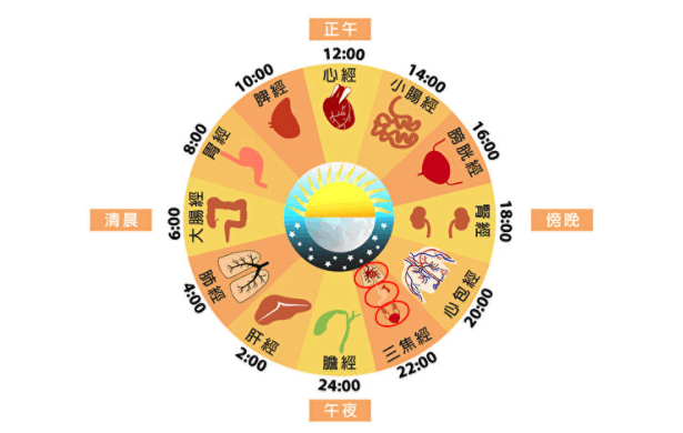 中醫十二時辰養生法 為何下午3點要喝水?