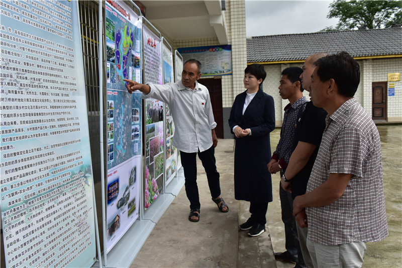 [十九大代表风采]界牌镇党委书记倪雪梅: 只为花果更香甜