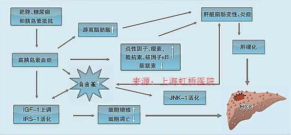 代谢病|"周医生,什么是神经系统代谢性疾病?