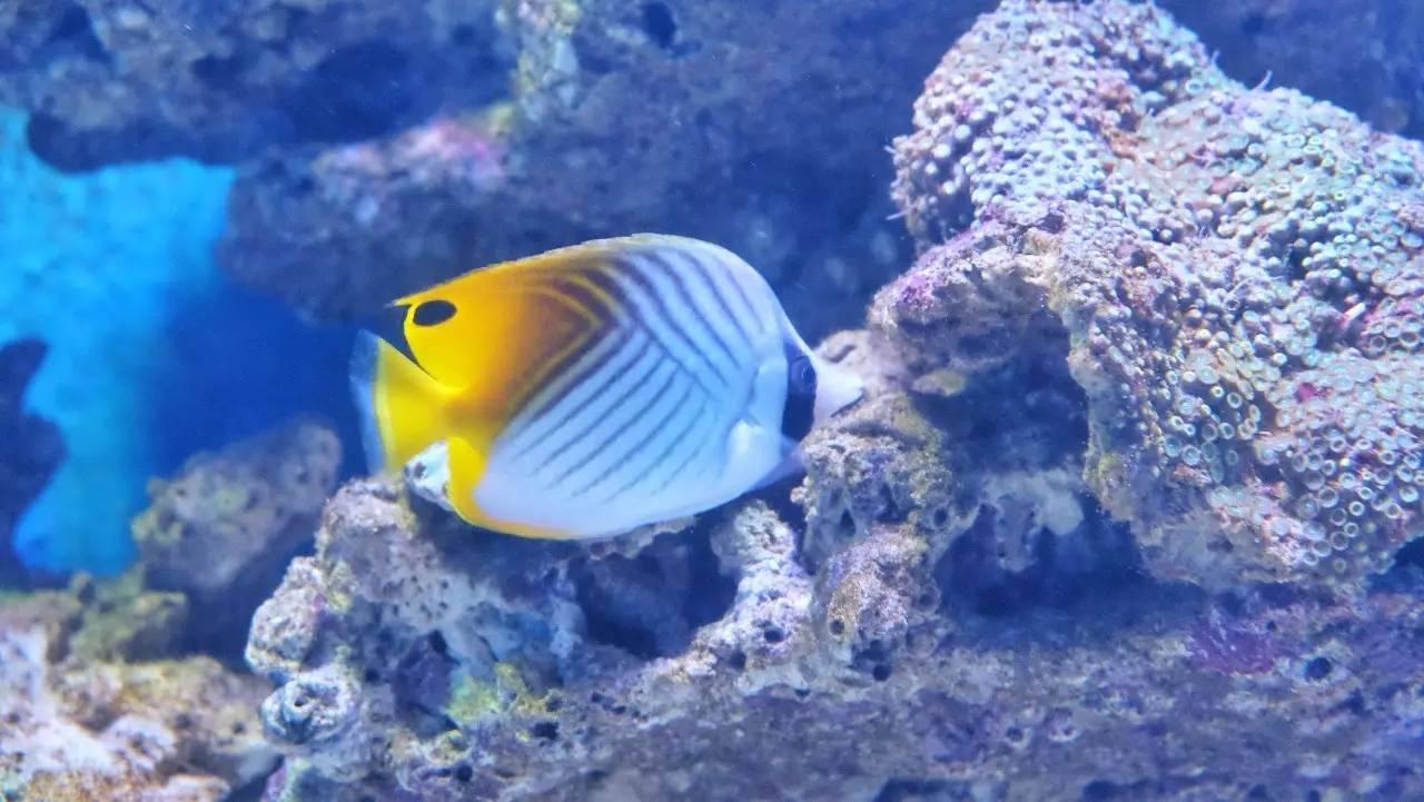 成都 | 为了给你们写这篇水上攻略, 我花了整整12个小时!