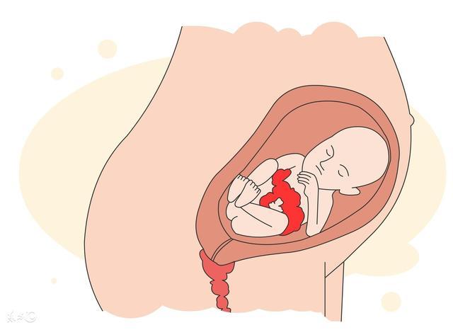 寄生胎动画图片