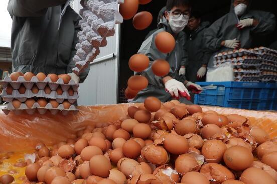 毒鸡蛋来袭, 可引发甲状腺癌