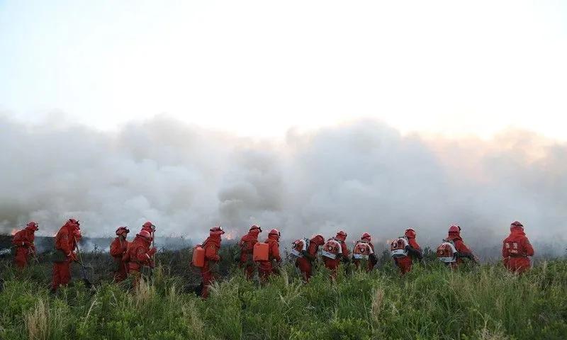 日企CEO违规垂钓致5300平公里火灾，仅向蒙古道歉：中国3400余人白守了？
