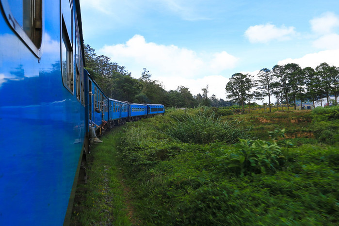 掛火車飛馳在高山茶園