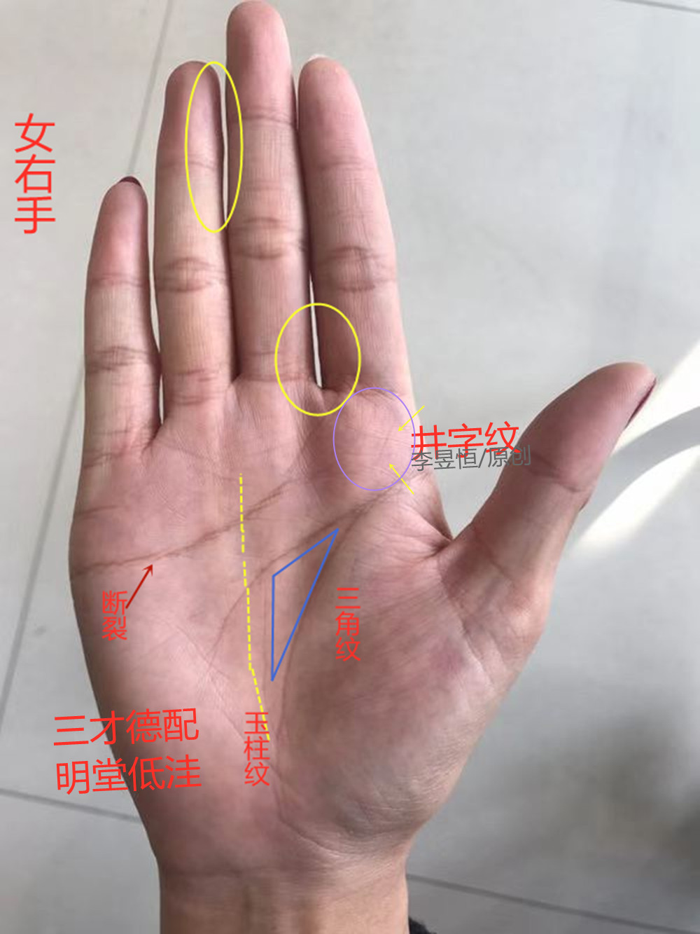 手相 上進能力強 婚姻不利早的特征 時光新聞
