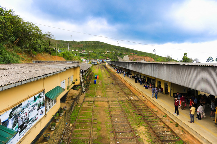掛火車飛馳在高山茶園