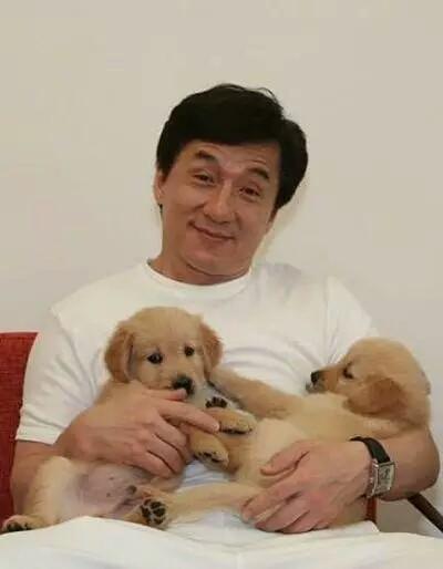 成龙的爱犬长大啦! 过年会给他们发红包, 真让人羡慕
