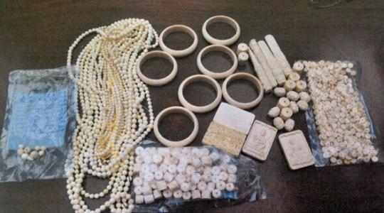 收购象牙制品 淄川法院宣判3起涉濒危野生动物案