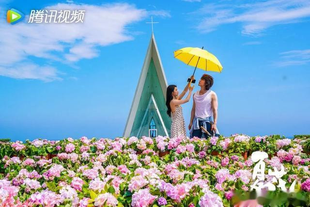 追了《夏花》, 更想旅行了!