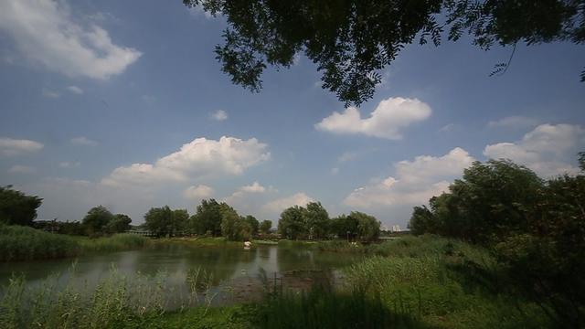 打開 打開 藍天白雲下的山東黃河玫瑰湖國家溼地公園 打開 綠色中國