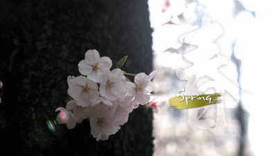 立春启程：解码中国人的节气时间哲学