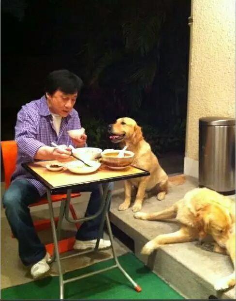 成龙的爱犬长大啦! 过年会给他们发红包, 真让人羡慕