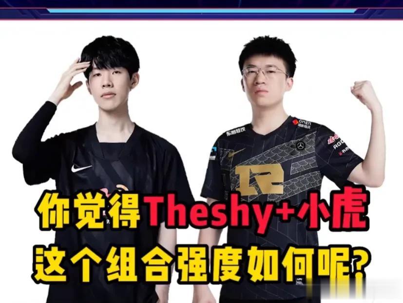 Doinb和Xiaohu谁更适合现在的WBG？首先，WBG已经是明牌围绕TheShy来建队了，那么就