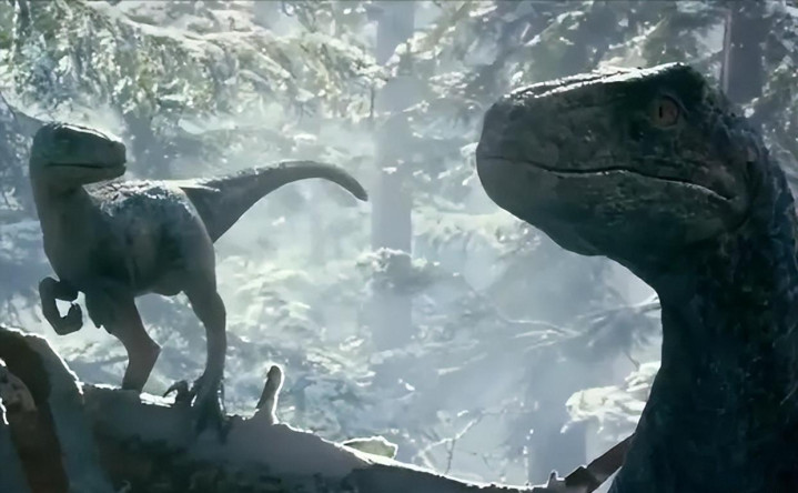 电影创作主体: 借助可见的影像, 构建自身的艺术作品(毒液和阿丽塔的