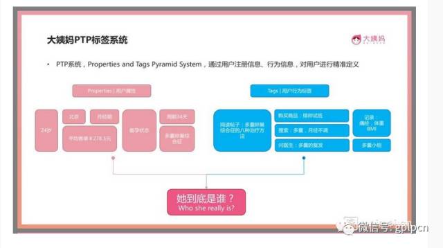 大姨吗: 一个男人引领的女性革命