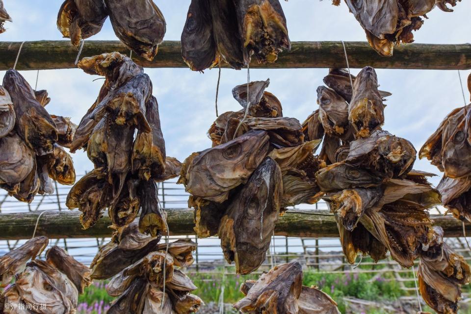 中国挪威关系恶化,挪威与中国的关系_鱼头在