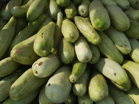 他一直说甜, 甜, 尝尝这种难见果品, 像河南的菜瓜, 吃过吗