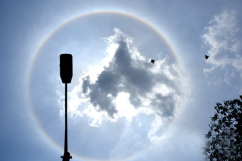 湖南娄底:"全日晕"奇观-太阳被七彩光圈环绕(图片来源网络)
