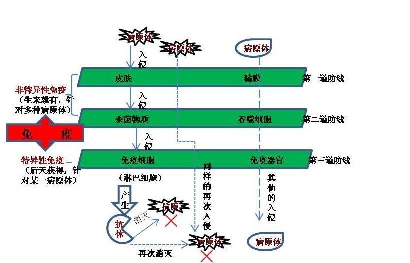 风湿病常见的致病因素有哪些?