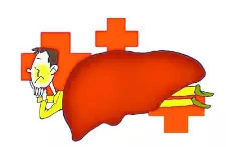 是由乙肝病毒(hbv)引起的,以肝脏炎症和坏死病变为主的一种传染性疾病