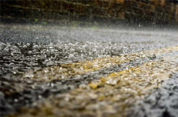 9日凌晨开始,雨落泉城,淅淅沥沥的小雨让市民感觉仿佛回到了早春.