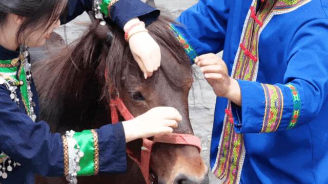 中国声音中国年丨马界的隐藏款“小手办”