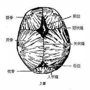 寶寶頭上的坑竟暗藏這些秘密! 應該怎樣保護好囟門