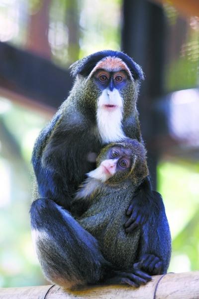 今天过后! 财源亨通, 腰缠万贯的生肖! 天神下凡, 别怪我没告诉你!