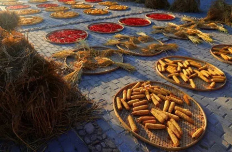 "五谷丰登,瓜果飘香, 春华秋实,秋收冬藏 " 这句朴实无华的话, 体现